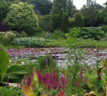 Uitje Overijssel - Vijvertuinen Ada Hofman_vijver.JPG