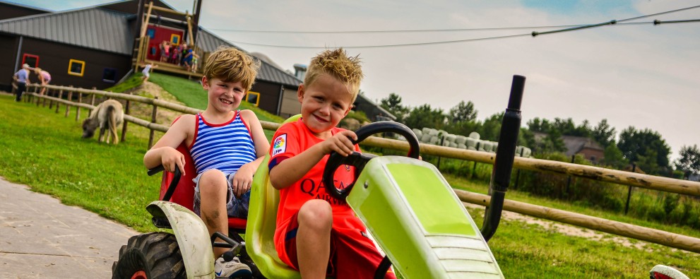 Drentse koe Skelteren met kabelbaan op achtergrond.jpg
