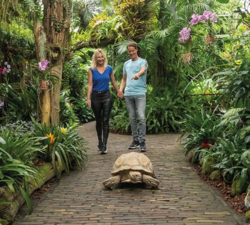 (4) Pantropica - Ontmoet de dieren.jpg