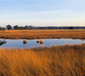 Nationaalpark De Hoge Veluwe _JDP130056Fs.jpg